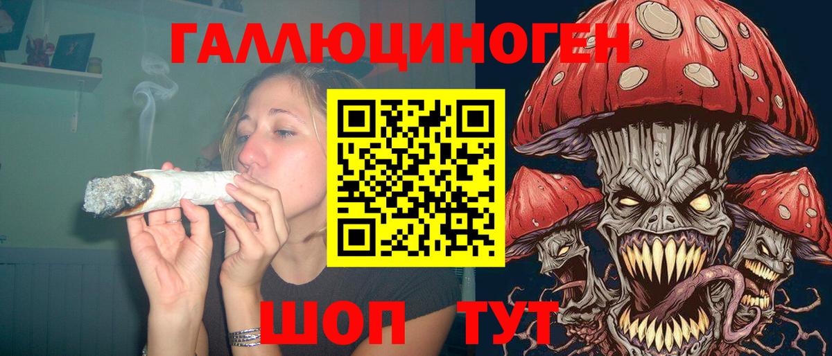 Чапаевск  Галлюциногенные грибы Psilocybe  Вход с VPN 